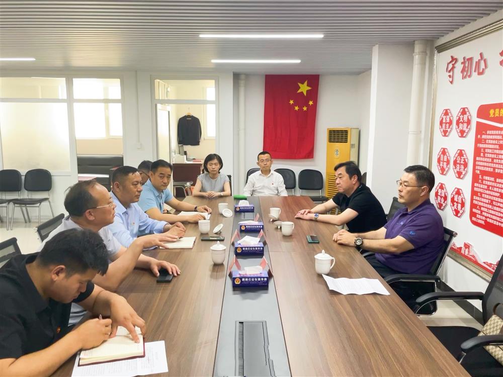 學(xué)黨史，辦實事 濟南產(chǎn)發(fā)集團到楚莊村黨支部走訪調(diào)研